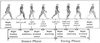 Recent Trends and Practices Toward Assessment and Rehabilitation of Neurodegenerative Disorders: Insights From Human Gait